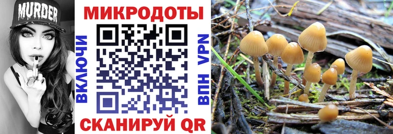 Псилоцибиновые грибы MAGIC MUSHROOMS  закладка  Старый Оскол 